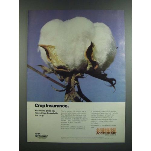 1986 Pennwalt Accelerate Cotton Harvest Aid Ad - Crop Insurance