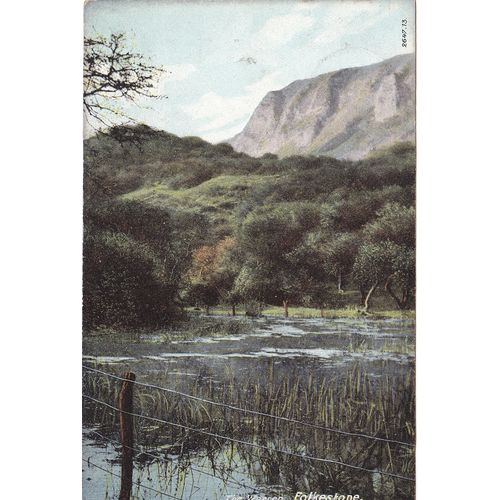 The Warren Folkestone Kent Postcard (KEN76855)