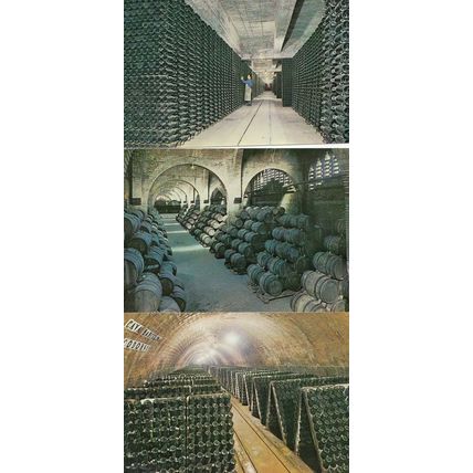 Cavas Codorniu Wine Cellar Vault 3x Postcard s