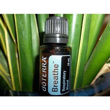 doTERRA BREATHE Essential Oil 15 mL NEW & SEALED Exp 07/25