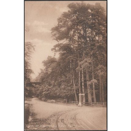View at Waverley near Farnham, Surrey, c.1910s - Frith's Postcard