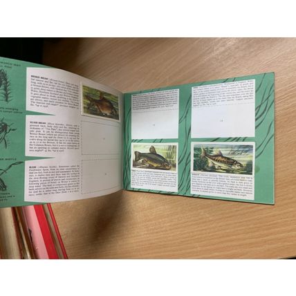 VINTAGE BROOKE BOND FRESHWATER FISH ALBUM BOOK *INCOMPLETE* (P2)