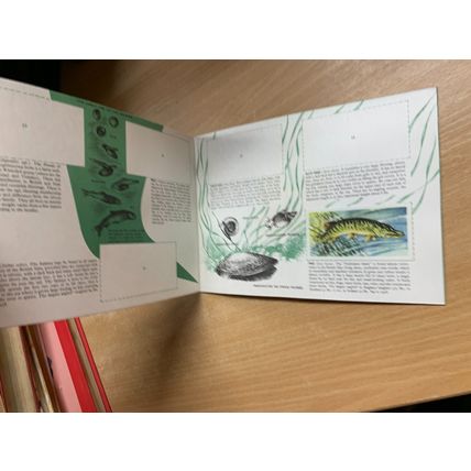 VINTAGE BROOKE BOND FRESHWATER FISH ALBUM BOOK *INCOMPLETE* (P2)