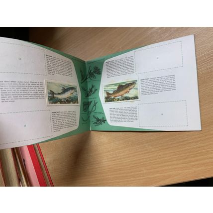 VINTAGE BROOKE BOND FRESHWATER FISH ALBUM BOOK *INCOMPLETE* (P2)