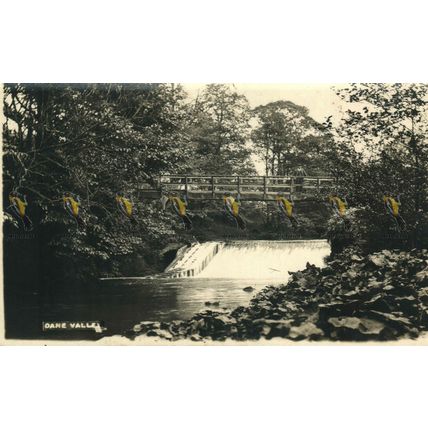 Dane Valley, Cheshire, RP Postcard