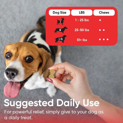 Iheartdogs Allergy & Itch Relief for Dogs with Salmon Oil, Quercetin, Colostrum,
