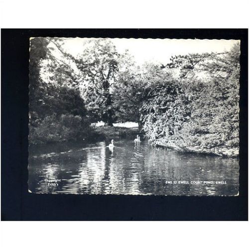 Surrey EWELL Ewell Court Pond Postcard by Frith (EWL.53)