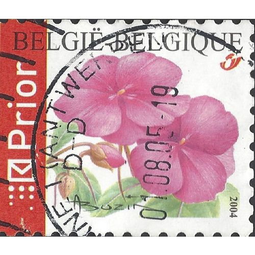 BELGIUM, FLOWER, Impatiens walleriana, red 2004, Priority