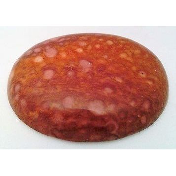 Petrified Wood Freeform Gemstone Cabochon 20
