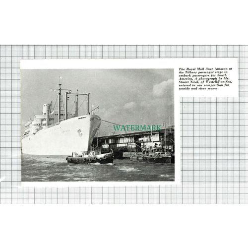 C5397) Royal Mail Liner Ship AMAZON Tilbury Essex - 1962 Cutting
