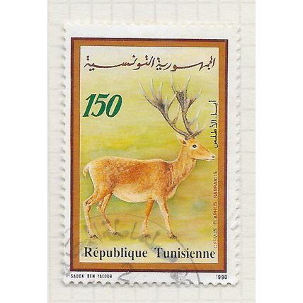 TUNISIA 1990 WILD LIFE RED DEER USED MAMMAL ANIMALS