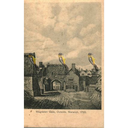 Magdalen Gate, Outside Norwich 1793, Norfolk, Rare 1154 Stewart & Woolf Postcard