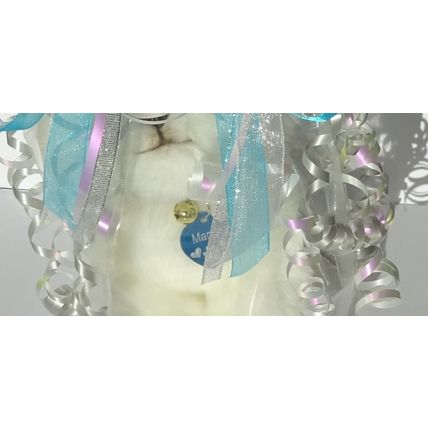 SCHNAUZER 12" TOY DOG, just as it is, personalised, gift wrapped 3 options