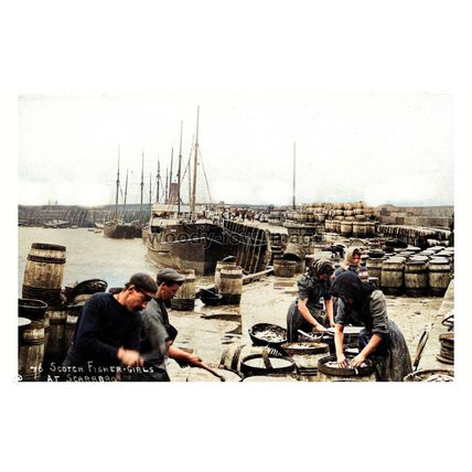 ptc3638 - Yorks - Scotch Fisher Girls packing Herrings, Scarborough - print 6x4