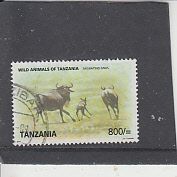 Tanzania 2010 Wild Animals of Africa 800Sh