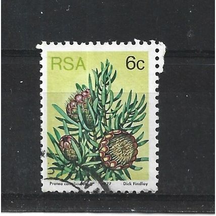 SouthAfrica.SG419 6c Protea Canaliculata.Fine Used.Sep25k