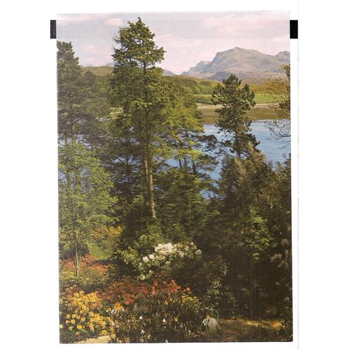 BEINN AIRIDH CHARR, Ross-shire unused postcard J.Arthur Dixon PRO 85325 =