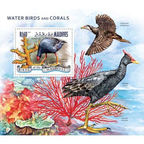 MALDIVES 2014 SHEET MNH WATER BIRDS OISEAUX KORALLEN CORALS CORALLI CORAUX 4A