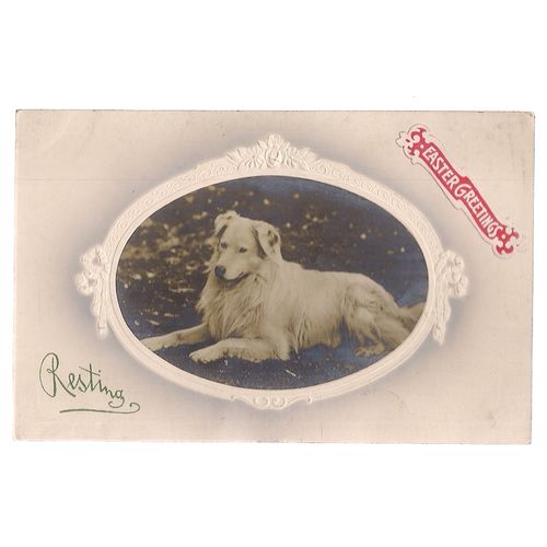 EASTER GREETINGS CARD antique ..used. postcard not posted dog =