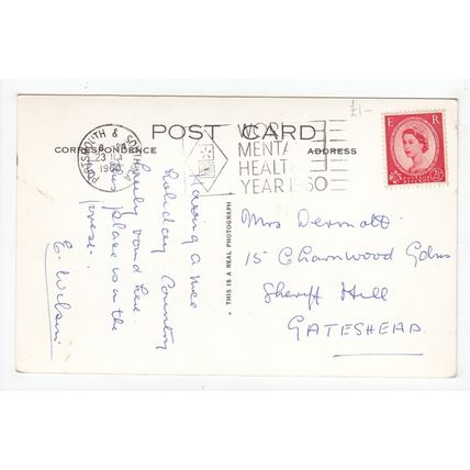 Palace House & Gatehouse from Pondside Beaulieu Postcard 1960 RP Hampshire