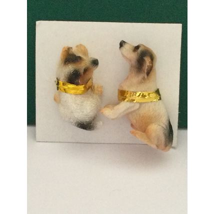 Jack Russell Pair 1:12th dolls house miniature