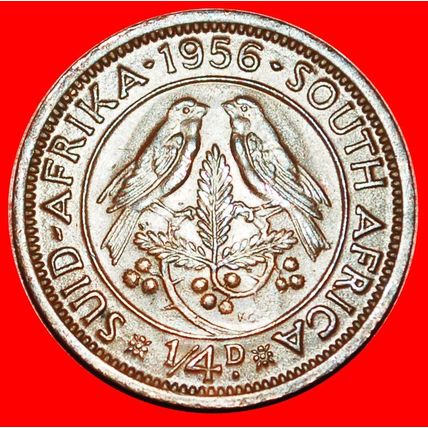 BIRDS (1953-1960): SOUTH AFRICA ★ 1/4 PENNY 1956! ★LOW START★NO RESERVE
