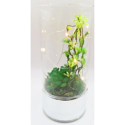 Terrarium with Faux Plants Tube LED Lights Glass LED 20 CM Gift Home Decor
