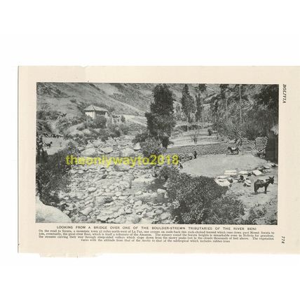 River Beni, Sorata Nr La Paz, Bolivia, Book Illustration (Print), c1920
