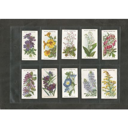 Flowers A full set of Wills Cigarette Cards Old English Garden Flowers 2nd 1915