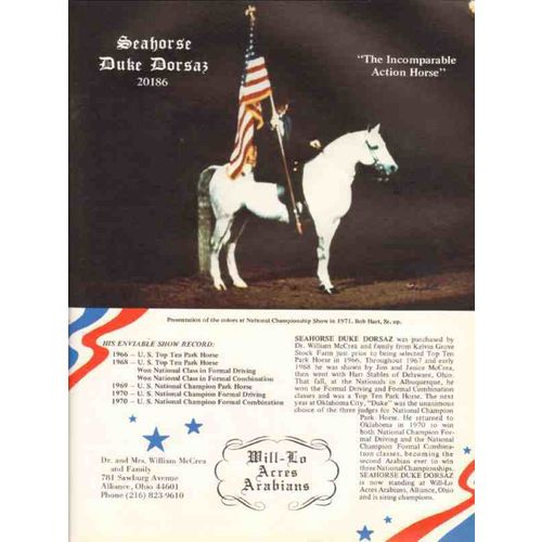 will-lo acres arabians 1972 seahorse duke dorsaz stud horse vintage ad