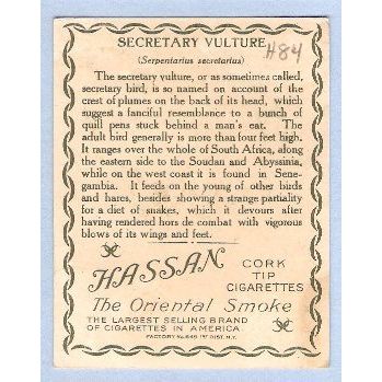 Tobacco Card ~ Company: American Tobacco Company Brand: Hassan Cork Tip Ci~84