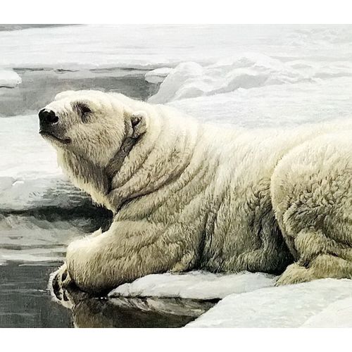 Robert Bateman print POLAR BEAR cubs arctic family Vintage Poster Wall Art Decor