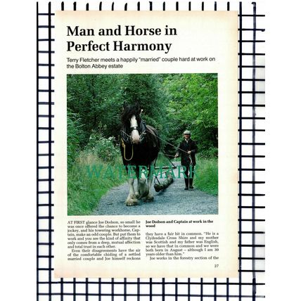 (8251) Bolton Abbey Estate Joe Dodson - 1990s Article