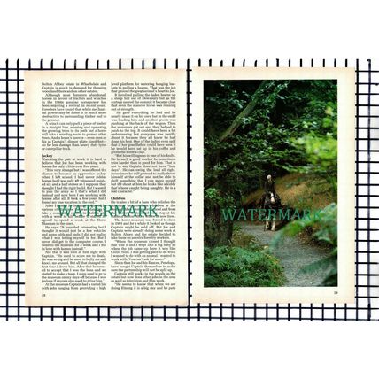 (8251) Bolton Abbey Estate Joe Dodson - 1990s Article
