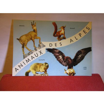 LES ANIMAUX DES ALPES, FRANCE unused postcard animals, #