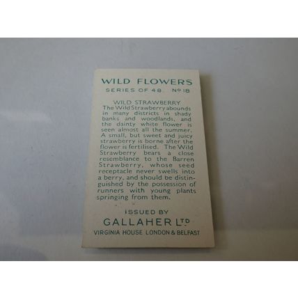 1939 Gallaher Wild Flowers Card # 18 of 48 Wild Strawberry Very Good (3)