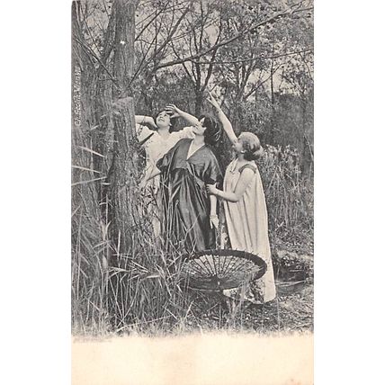 Three pretty girls in the woods: an u/b black/white postcard 898