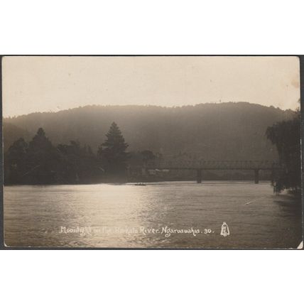 Moonlight on the Waikato River, Ngaruawahia, c.1910s - RE Bell RP Postcard