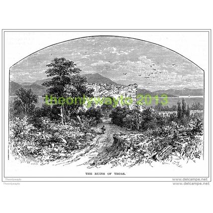 Ruins of Troas, Turkey, 1886, REPRODUCTION