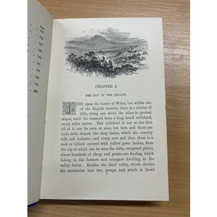 1900 "FERN'S HOLLOW" HESBA STRETTON FICTION ANTIQUE HARDBACK BOOK (P3)