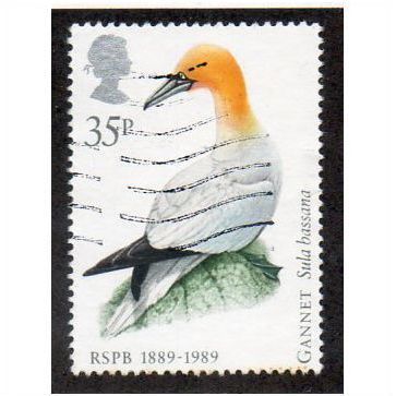 1989 35P 'RSPB' FINE USED (EBID18060)