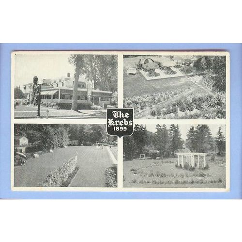 New York Skaneateles The Krebs 1899 4 Small Views The Krebs Building & Sur~134