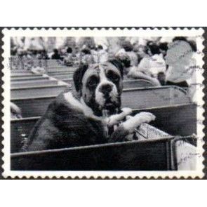 2001 Cats And Dogs.1st Value. Boxer at Dog Show.. Very Fine Used