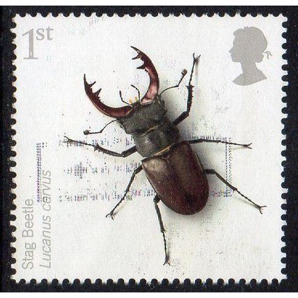 GB 2008 Action For Species - Insects - Stag Beetle 1st Used