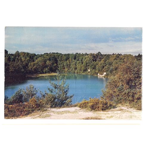 THE BLUE POOL, nr. WAREHAM, DORSET unused vintage postcard J. Arthur Dixon =