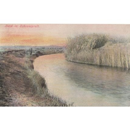 Bend In Schoonspruit South Africa Old Postcard
