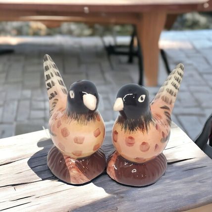 Pheasant Salt & Pepper Shakers - Ceramic - Hand Painted