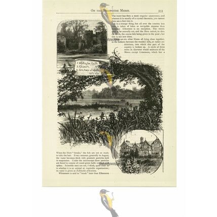 Shropshire Meres, 3 Images, England, Book Illustration (Print), 1887