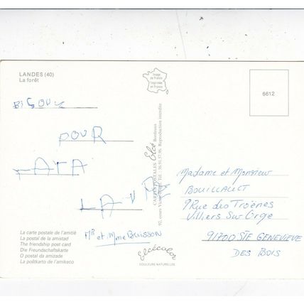 Foret Landaise France Postcard used VGC