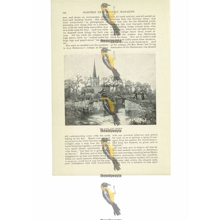 Lock & Church, Stratford, Warwickshire, England, Book Illustration (Print), 1891